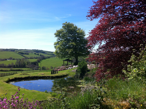 Glorious scenery in the heart of Exmoor